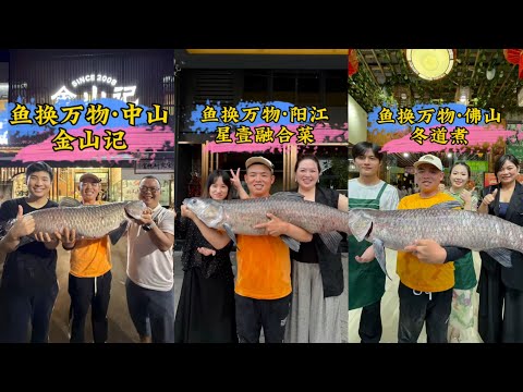 钓鱼交换美好阳江篇-中山篇-佛山篇：两条巨青换烤鸭，你们觉得老板娘亏不亏?