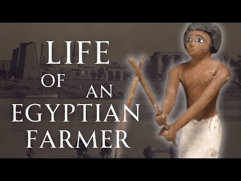 Life on the Nile as an Egyptian Farmer | Human Voiced, No Ads