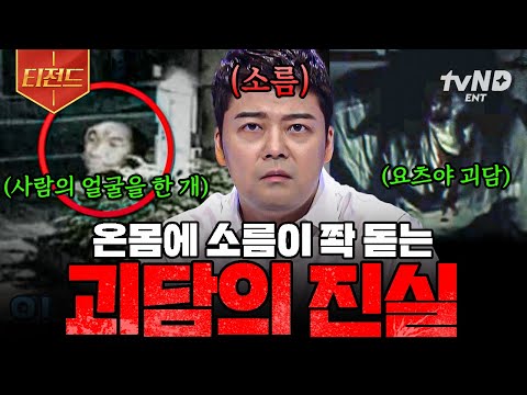 [#프리한19] 🗣️: "혹시 이런 이야기 들어본 적 있어?" 전 세계를 뒤흔들었던 괴담의 진실 | #티전드