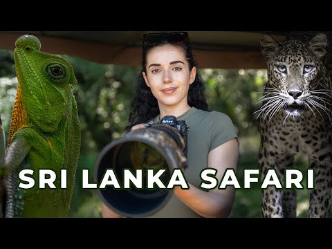 Sri Lanka Wildlife Safari Vlog: Wilpattu, Sinharaja, and Udawalawe
