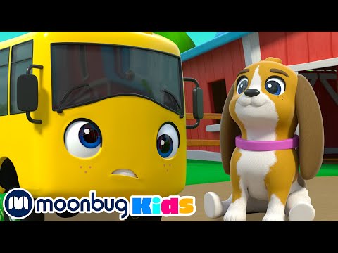 Buster Saves the Puppy - Best of BUSTER ! SUPER KIDS CARTOONS