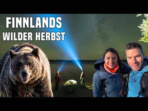 Finnlands wilder Herbst: Bären-Fotografie & Ruska in Arctic Lakeland | Kuhmo Fotoreise