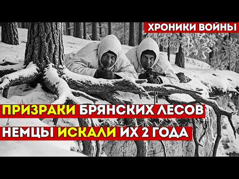 Секретный пост в Брянских лесах. 731 день без смены. Немцы искали, но так и не нашли двоих партизан.