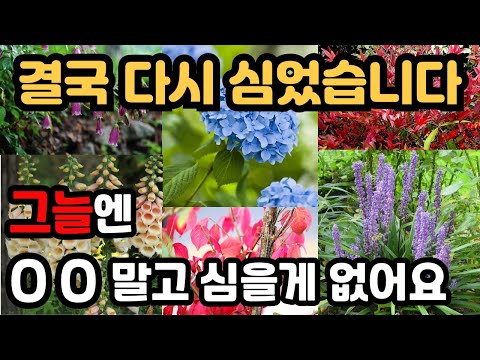 그늘 진 정원을 화려하고 산뜻하게 가꿀 수 있는 식물 15가지를 소개합니다.