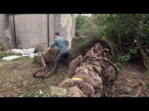 008: Drastic Weeding | Saving a 17th Century Scottish Farmhouse