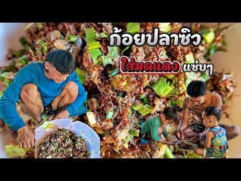 ก้อยปลาซิว ใส่มดแดง พร้อมผักกับแกล้ม คุ้ยคำใหญ่ๆแซ่บอีกหลี | คนทำมั่วซั่ว