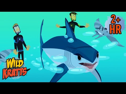 The Fastest Shark Vs the Fastest Fish | Mako Shark Vs Sailfish | Wild Kratts