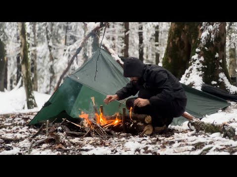 Winter Camping in Snowstorm | Solo Overnight in the woods | Cozy ASMR