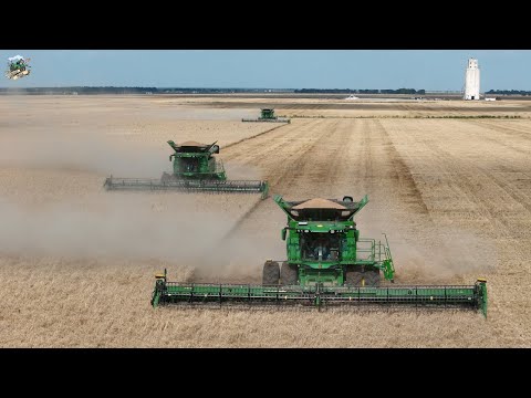 Walter Farms & Harvesting custom cutting Wheat near Alva Oklahoma