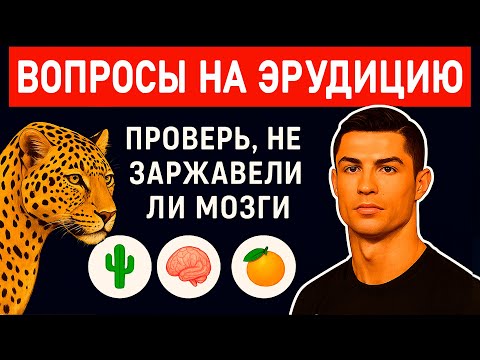 NOT EVERY ERUDITE CAN ANSWER ALL THE QUESTIONS IN THIS KNOWLEDGE TEST. #eruditiontest #erudition ...