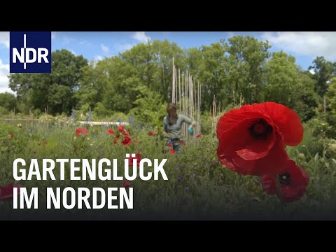 Grünes Glück im Sommergarten | die nordstory | NDR Doku