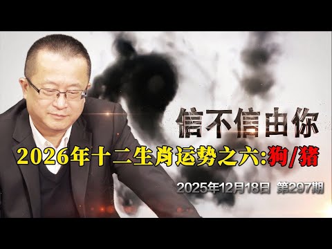 2026年十二生肖运势之六：狗猪《信不信由你》2025年12月18日 第297期