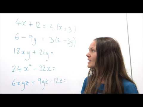 The Maths Prof: Factorising (putting into a SINGLE bracket)