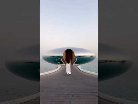 The Peptide8 Night Serum with Basma Hamze