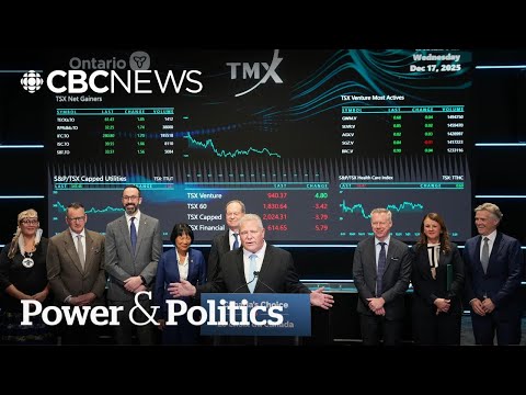 'No better place on the planet' for global defence bank: Ontario finance minister | Power & Politics