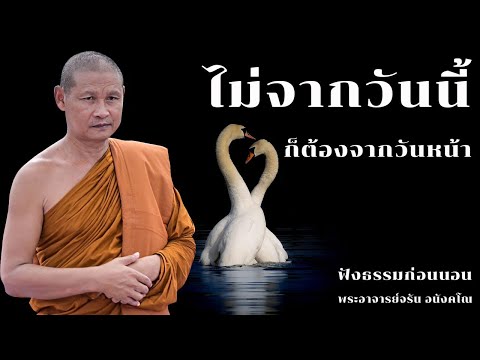 ไม่จากวันนี้ก็ต้องจากวันหน้า | ฟังธรรมก่อนนอน