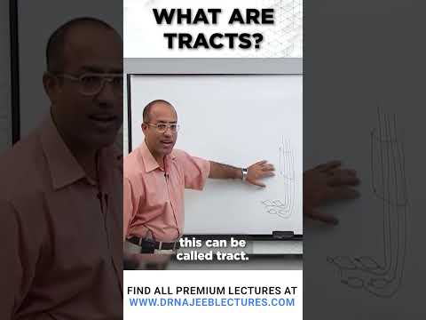 What Are Tracts #drnajeeb #drnajeeblectures #shortvideostatus
