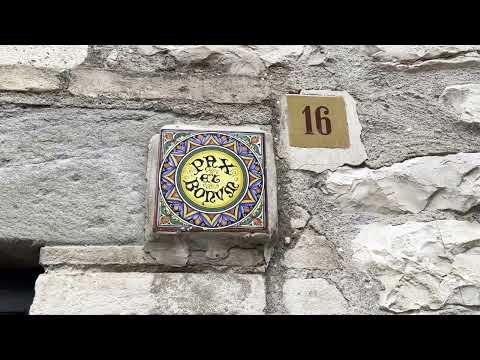 Project Assisi - Part 1. Prologue