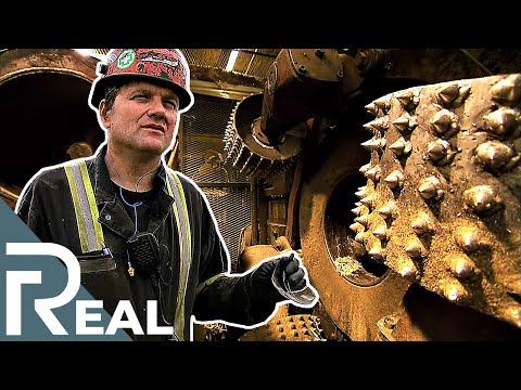 Nerves of Steel | Episode 3 | Forest Worker | FD Real Show
