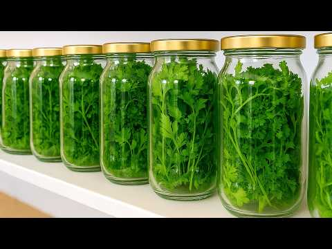 Preserve Parsley Like A PRO For 12 Months Without Effort!|Clever Tricks