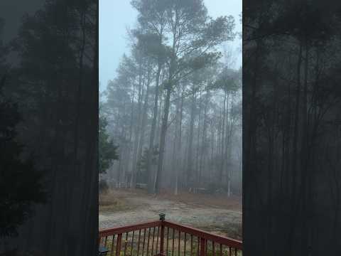 Feliz Miércoles #natural #family