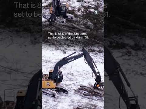 In less than a month, Micron has cut nearly 300 acres of trees at site in Clay