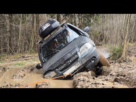 Стоковые нивы на лютом маршруте