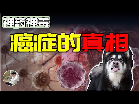 我們會得癌症的真正原因，父母基因競爭到底多殘酷，20億年抗癌史