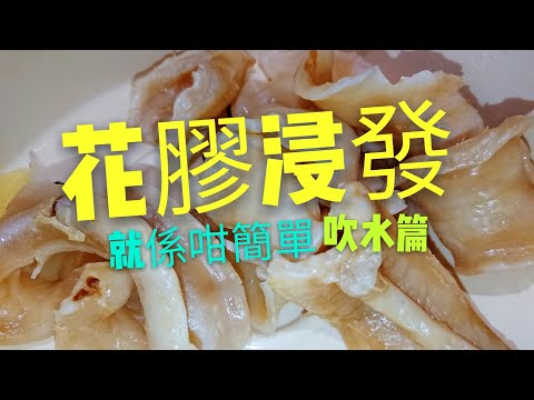 〈 職人吹水〉 花膠浸 發 吹水篇How to prepare Fish Maw 中英文字幕