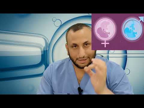 متى يظهر نوع  جنس الجنين؟ - الحلقات القصيرة / دكتور محمد خليل
