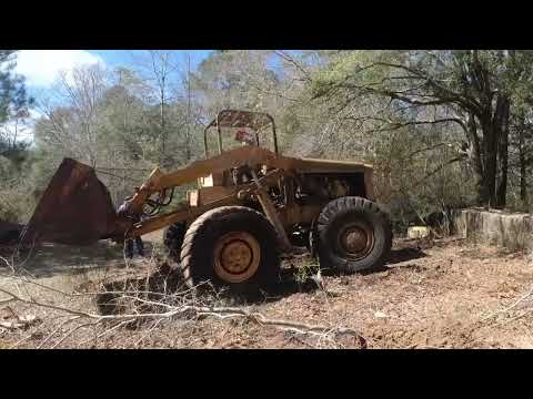 This BEAST came ALIVE!!! 15 YEARS LATER it did THIS!!