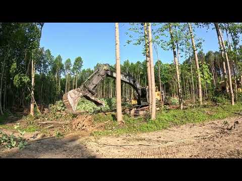 Nature Fought Back Today And I Lost