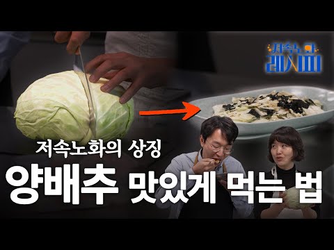 양배추와 정희원 교수의 공통점 |  저속노화 레시피
