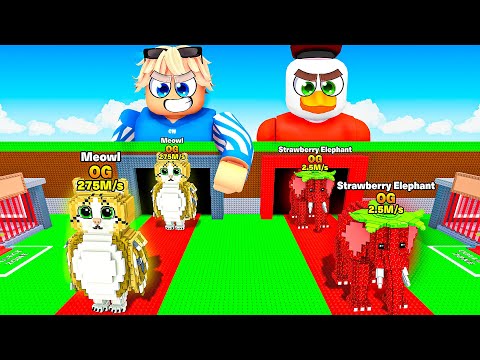 Jede MINUTE bekommen wir 1+ MEHR GLÜCK in Steal A Brainrot!