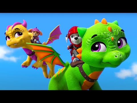 Paw Patrol - Super Adventures | WildBrain Zoo | Cartoons for Kids