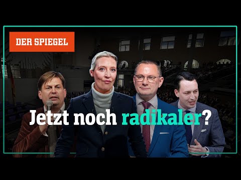 AfD »gesichert rechtsextremistisch«: So tickt die neue Fraktion – Shortcut | DER SPIEGEL