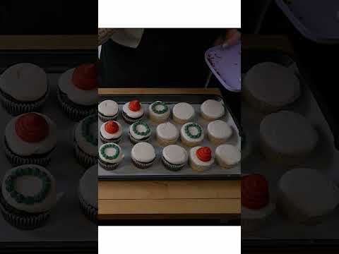 Easy Holiday Cupcakes (Small Batch Vanilla & Chocolate)