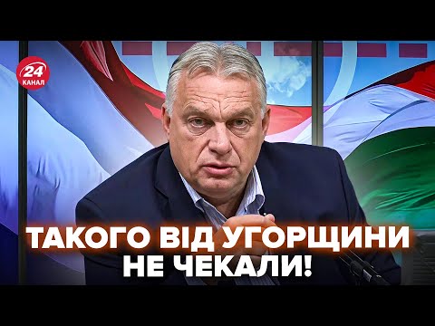 😮Такого від УГОРЩИНИ НЕ ЧЕКАЛИ! Українці ошелешені. КУЛЕБА РОЗКЛАВ НА ДЕТАЛІ, що чекати від ОРБАНА