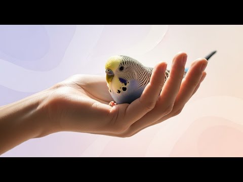 Правда о ВОЛНИСТИКАХ питомцах: 20 главных фактов, которые нужно знать