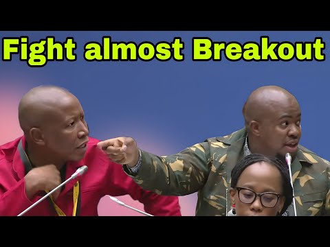 Julius Malema & Sibonelo Nomvalo almost fight in front of Senzo Mchunu. Hooliganism.
