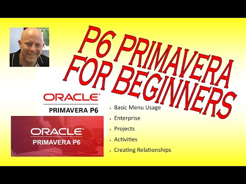 P6 Primavera Scheduling for Beginners - How-To Video