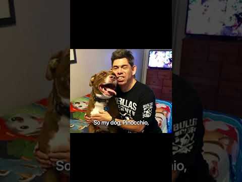 Single man adopts boy with Down syndrome, their bond still thrives 49 years later