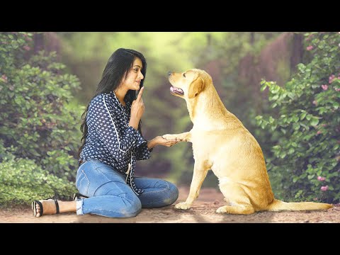 它不能陪伴你一生，但会用一生来陪伴你，一人一狗之间的相互救赎，21分钟看完2022年印度冒险电影《777查理》