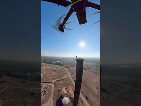 The Bird is a Paid Actor🦅