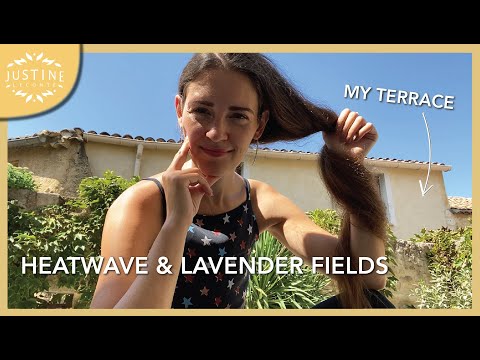 Come see my terrace (this house can’t do heatwaves…)  | Provence vlog | Justine Leconte