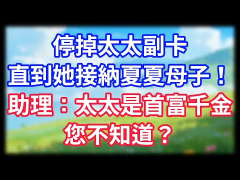 【爽文】停掉太太副卡，直到她接納夏夏母子！助理：太太是首富千金，您不知道？