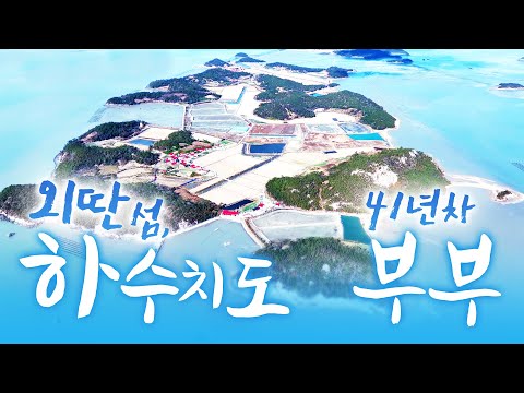 외로운 섬을 지키는 41년차 부부여요 ㅎㅎ 내가 책임 질려고 우리 마누라 섬에 데리고 왔죠 | 오늘은 물고기잡으로 가는데 기분이 좋네요 많이 잡혔으면 좋겠어요 ㅎㅎ #외딴섬