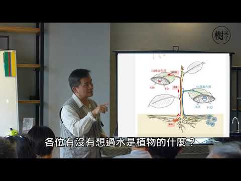 【樹呆子小學堂】乾旱對樹的影響機制