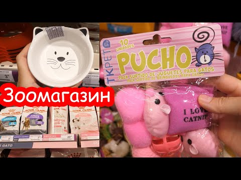 First purchases at a Spanish pet store for a kitten