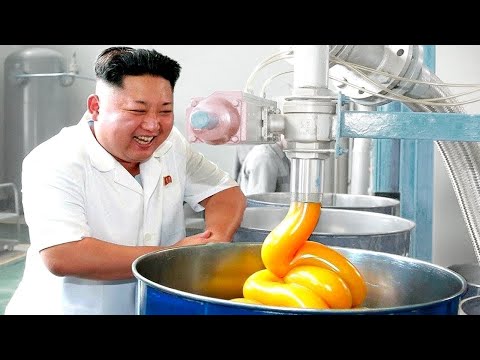 Bizarre Things That Only Exist In North Korea